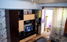 Apartament 2 Camere Haţeg